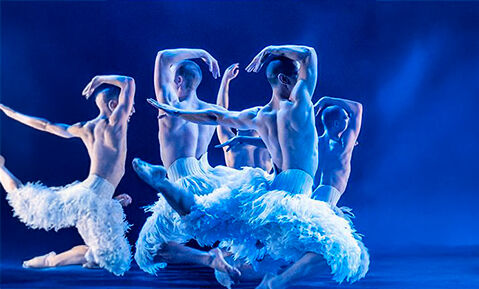 El lago de los cisnes: la nueva generación