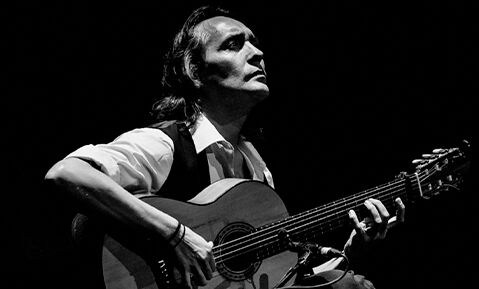 Seis pájaros en mano